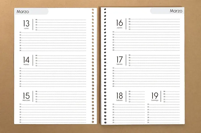 KIT 10 agendas semanales + 1 de Regalo miniatura 3