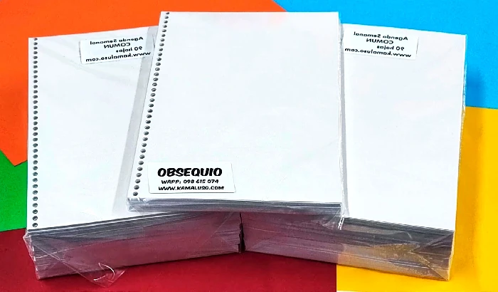 KIT 10 agendas semanales + 1 de Regalo miniatura 2